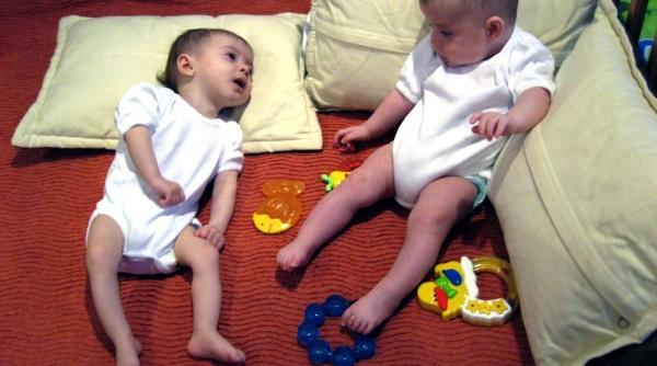 icirc nger cu aripa franta n zbor