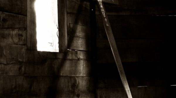 dincolo de lumina care cade spre apus