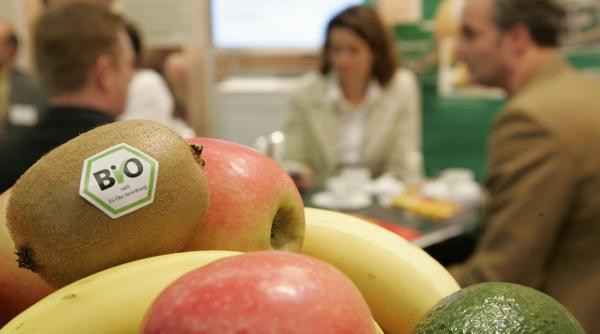 icirc ntre mit si realitate