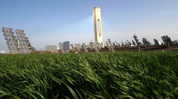 eco solutii pentru salvarea planetei