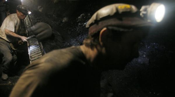 economia de piata cu subventii se tine