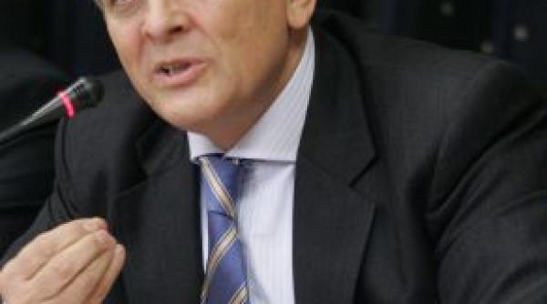 stolojan sustine revenirea monei musca in viata politica