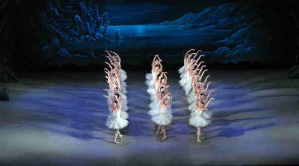 lacul lebedelor in turneu