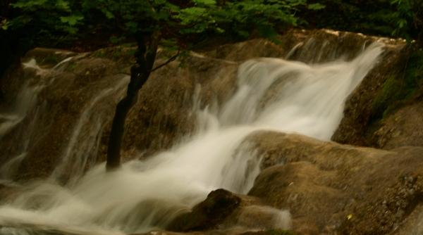 campanie pentru ape mai curate