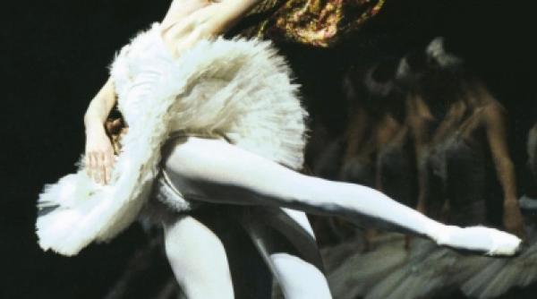 lacul lebedelor este si luni