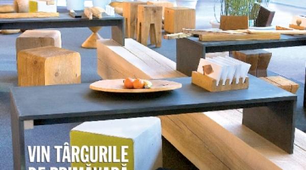 jurnalul casei mele targul ambiente 2008