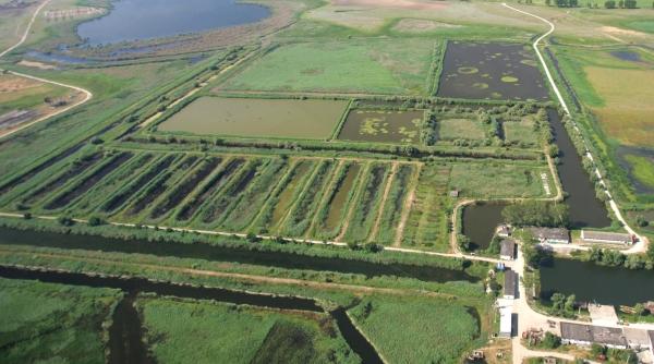 lunca dunarii va fi renaturata