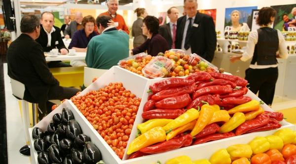 studiu mergeti pe eco