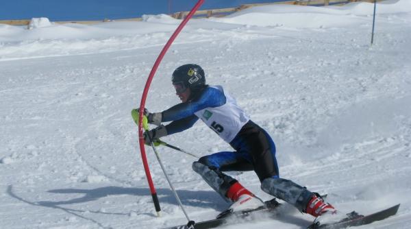 schi doua titluri pentru nan si narea