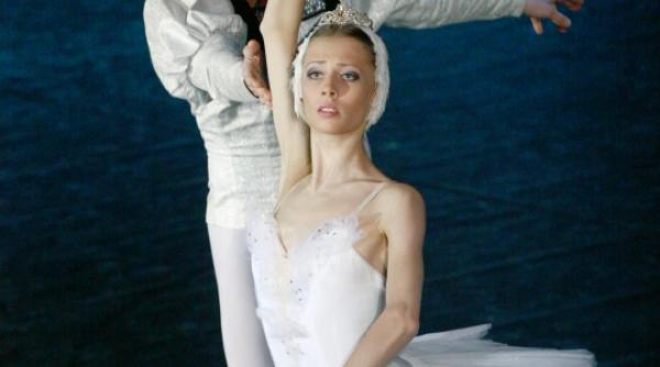 au venit lebedele in bucuresti