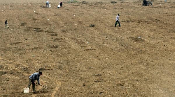 faramitarea pamantului alunga investitorii straini