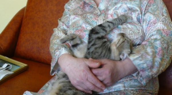 doar nu s a facut bors cu oasele ei