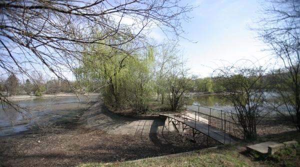 bordei din nou domeniu public