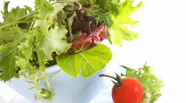 verdeturi de primavara