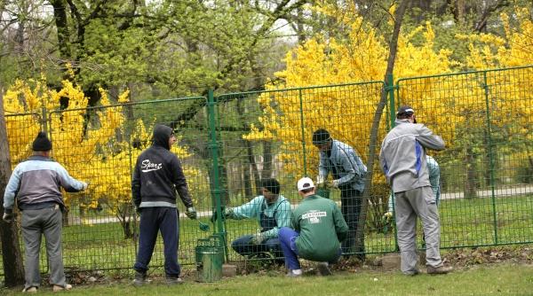 pe afara i vopsit gardu