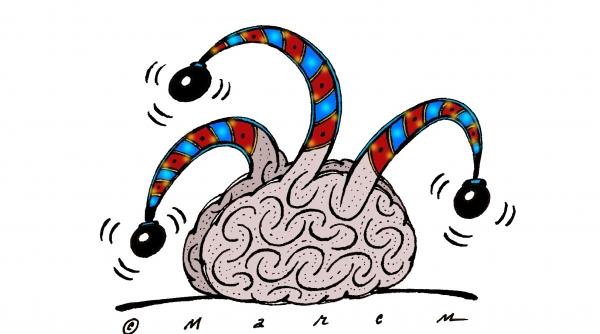 simply said un guvern de imbecili