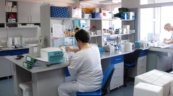 munca si daruire la identificare