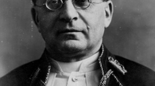 cate divizii are papa