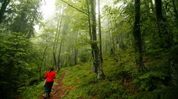 harghita amenzi pentru situri natura 2000