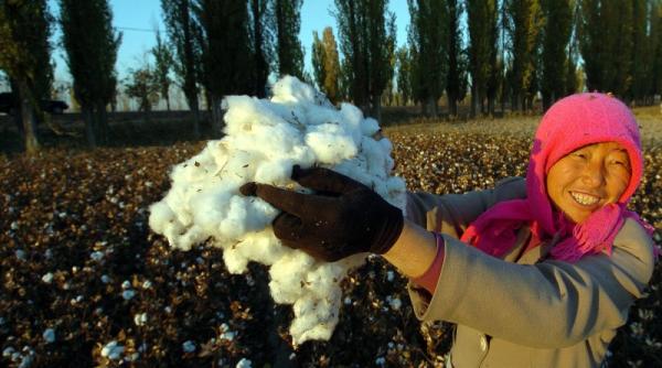 se poarta bumbacul bio