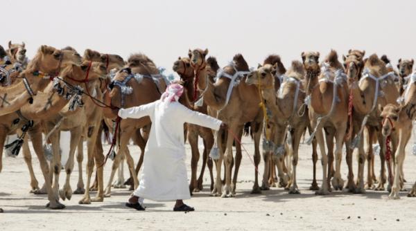 dubai camila de milioane de dolari pentru print