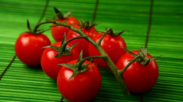 eco face bine la inima