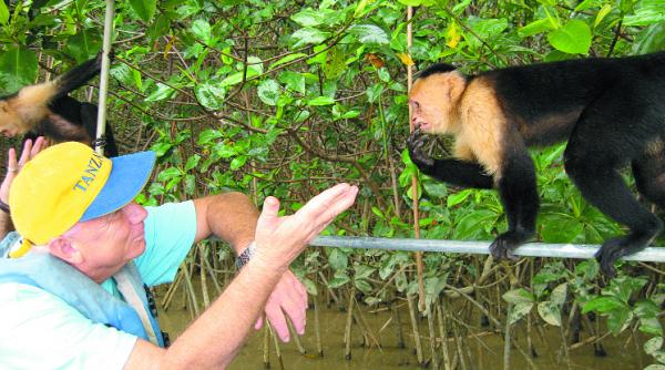 spectacolul vicleniei si al dragalaseniei