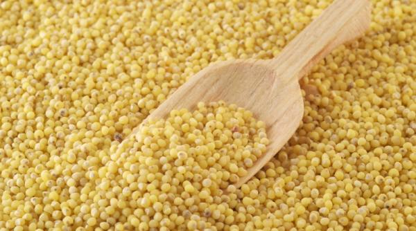 meiul regele cerealelor