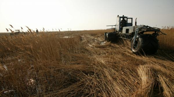 delta dunarii probleme cu studiul cadastral