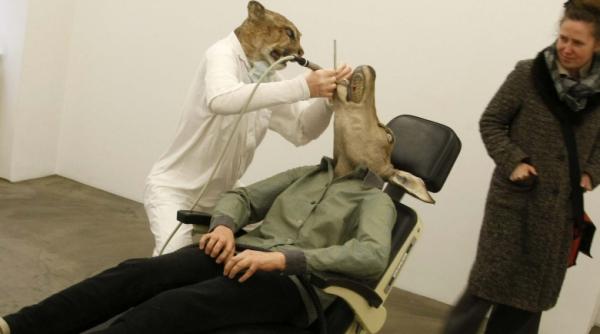 puma dentist si caprioara pacient