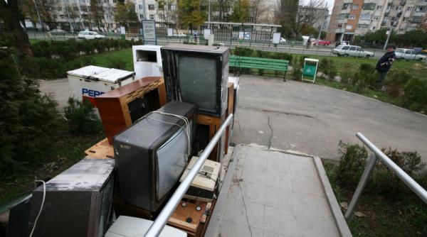 stingacii de organizare la marea debarasare