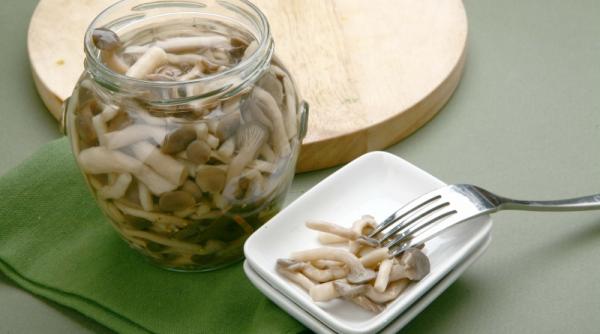 de florii normal la nasa florica