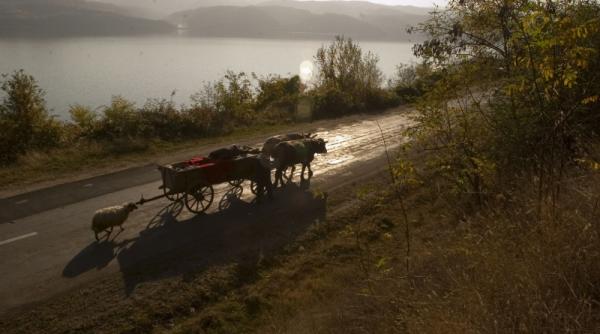 ca melcul pina in delta