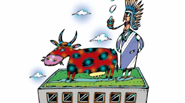 doctorul petcu ultimul mohican