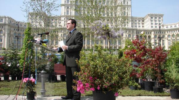 prea putin spatiu verde in orase