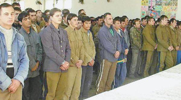 poarta alba 80 de detinuti fac pastele acasa