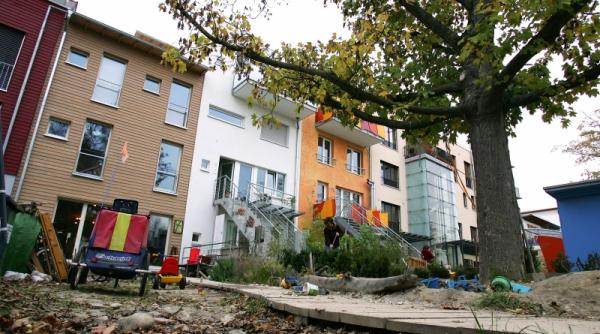 statele unite proiecte verzi pe 2008