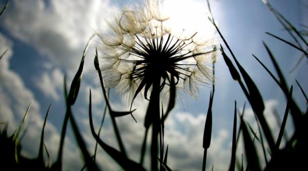 se spune despre mai ca este rai