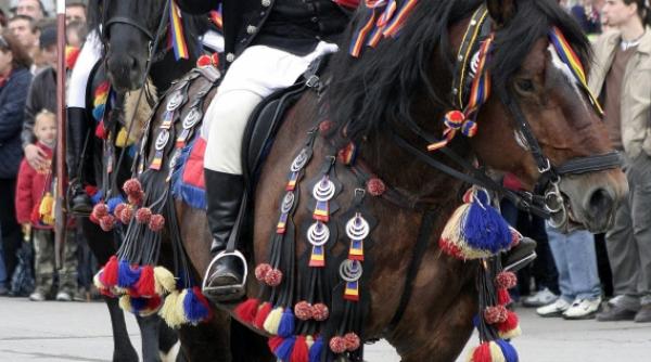 sarbatoarea seculara a junilor