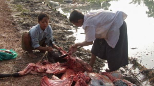 myanmar autoritatile refuza ajutorul international