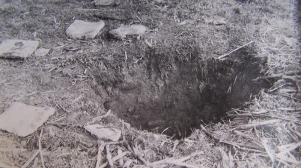 gasite dupa doua luni intr un put parasit