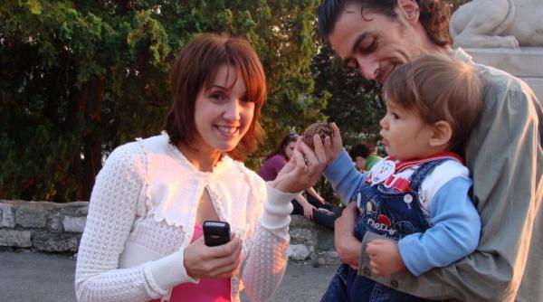 la belgrad con de brad contra cd