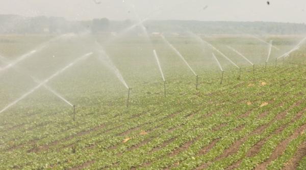 sistemul de irigatii zace nefolosit