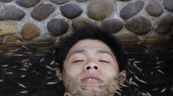 china terapie cu pestisori fara dinti