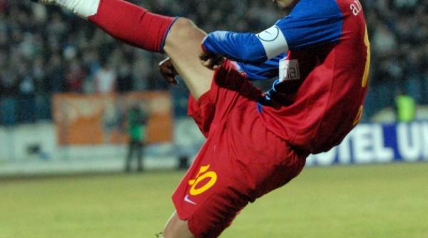 dica linga zenga la catania