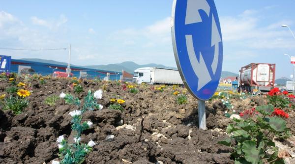 flori de plastic pentru premier