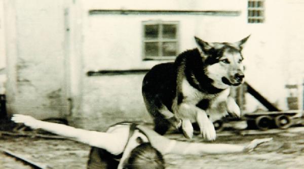 un partener de nadejde