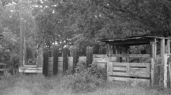 imaginea satului in lume ii