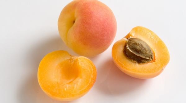 caisele desertul cardiacilor