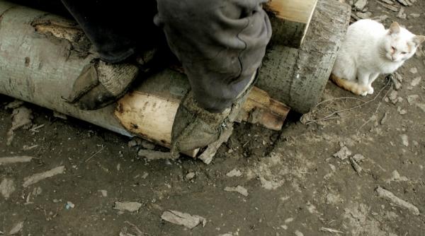 saracia nu e eterna dar are putere de inertie